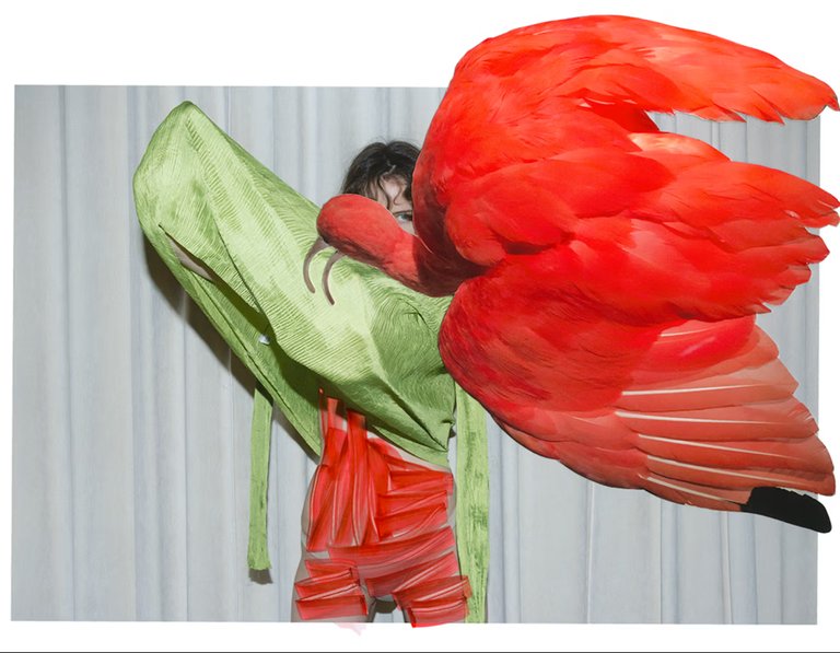 En person står delvis dold bakom ett konstnärligt collage av överdimensionerade röda fågelvingar och ett grönt texturerat plagg. Bilden blandar mode och abstrakt konst med stark visuell kontrast mellan natur och textil.
