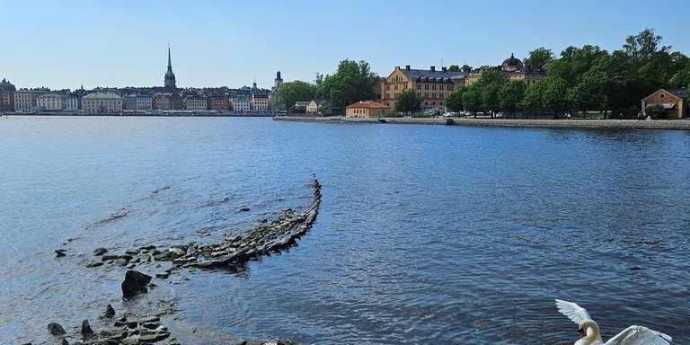 Vrak - Museum of Wrecks City Tour