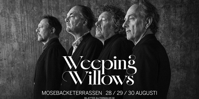 Weeping willows group potrait