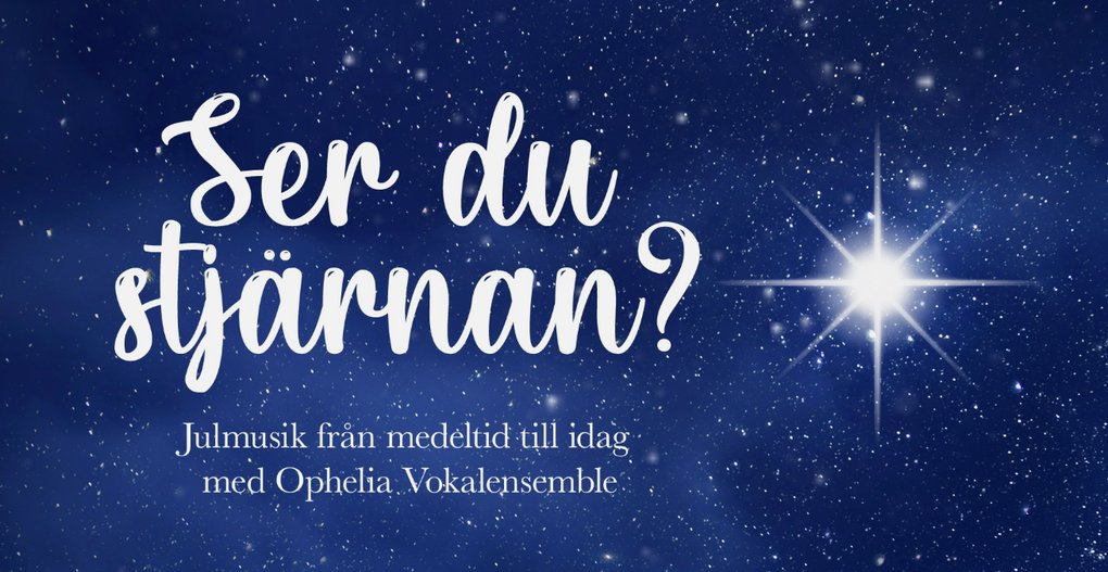 Skärmavbild 2025-10-14 kl. 20.43.28.png