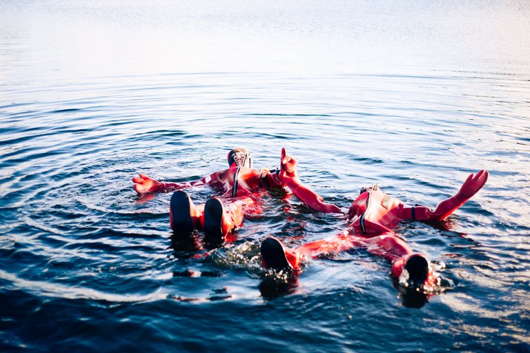 Wild Nordic Experience: Hike, Forest Lunch, and Cold-Water Floating