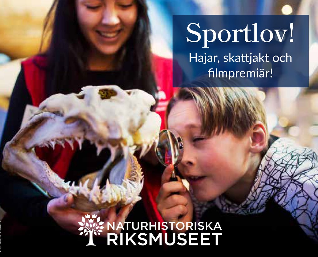 Sportlovet 142 x 115.jpg