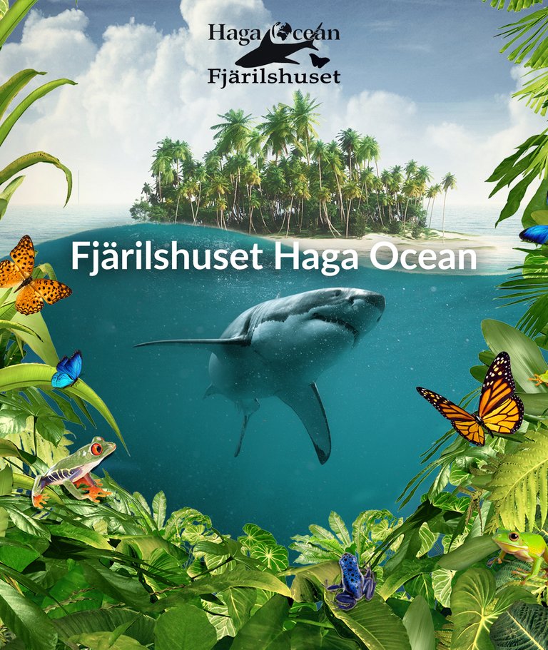 Zoologist-guided tour of insects and fish at Fjärilshuset Haga